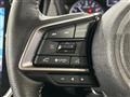 2024 Subaru Subaru Others