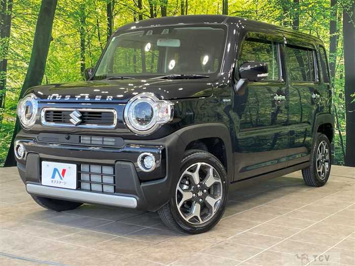 2025 Suzuki Hustler