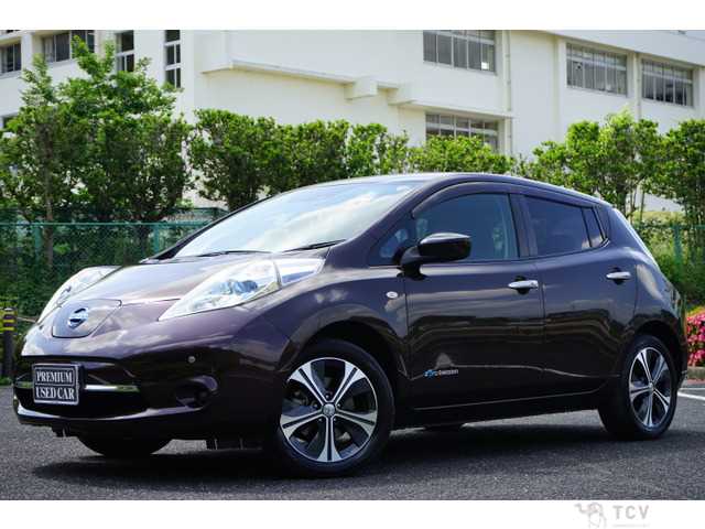 2017 Nissan Nissan Others