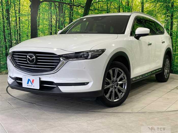 2019 Mazda CX-8
