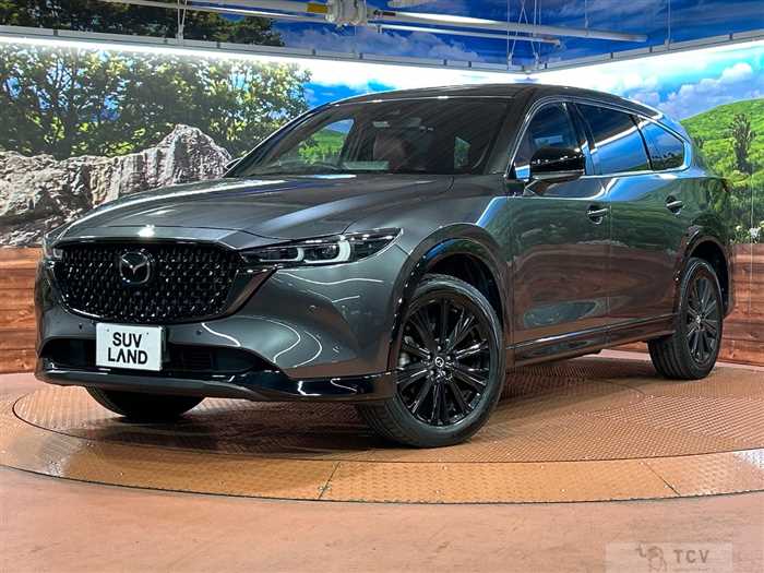 2023 Mazda CX-8