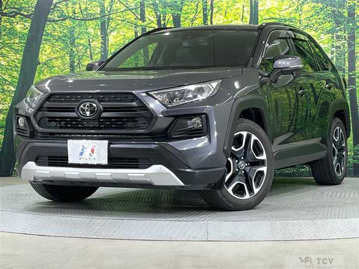 2019 Toyota RAV4