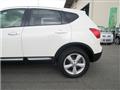 2011 Nissan Dualis