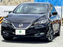 2018 Nissan Nissan Others
