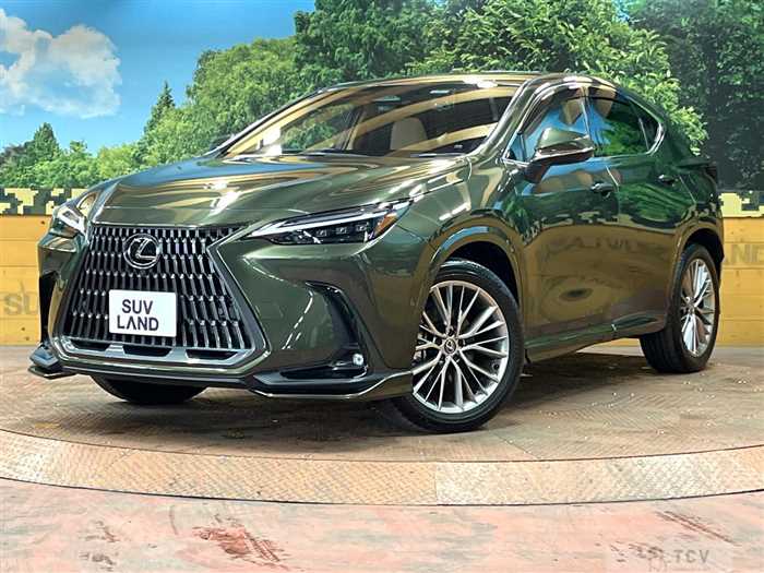 2023 Lexus NX