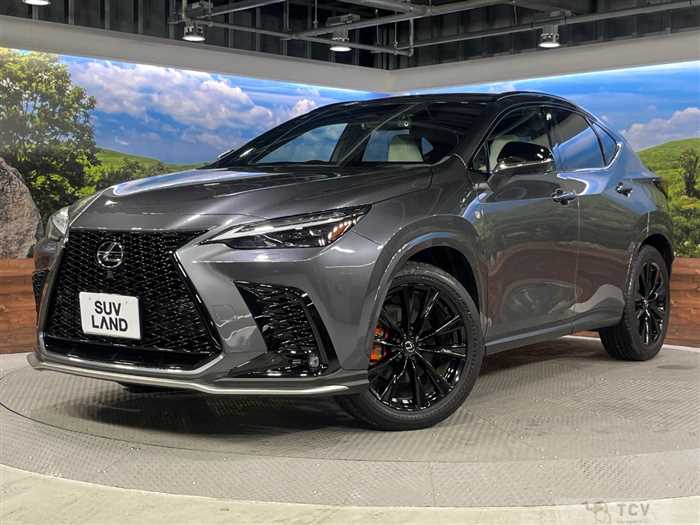 2023 Lexus NX
