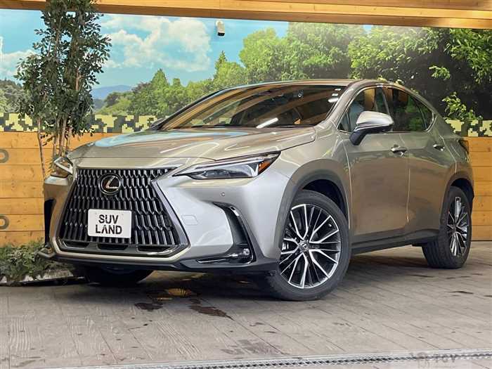 2022 Lexus NX