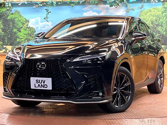 2024 Lexus NX