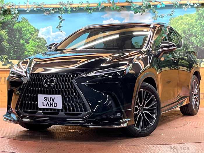 2023 Lexus NX