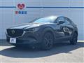 2023 Mazda Mazda Others