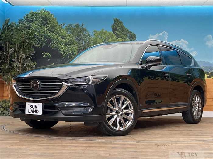 2018 Mazda CX-8