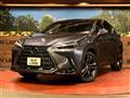 2022 Lexus NX