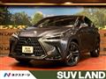 2022 Lexus NX
