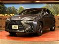 2022 Lexus NX