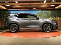 2022 Lexus NX