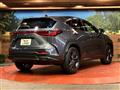2022 Lexus NX