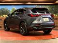 2022 Lexus NX