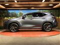 2022 Lexus NX