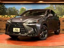 2022 Lexus NX