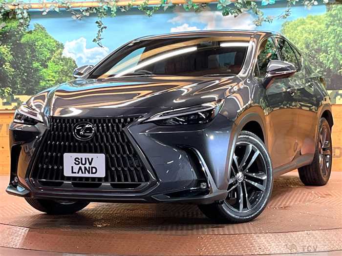 2023 Lexus NX