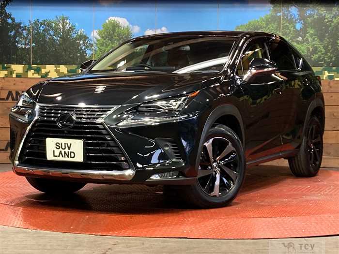 2018 Lexus NX