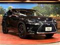 2018 Lexus NX