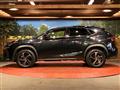 2018 Lexus NX