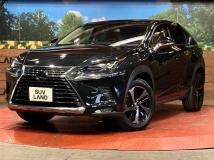 2018 Lexus NX