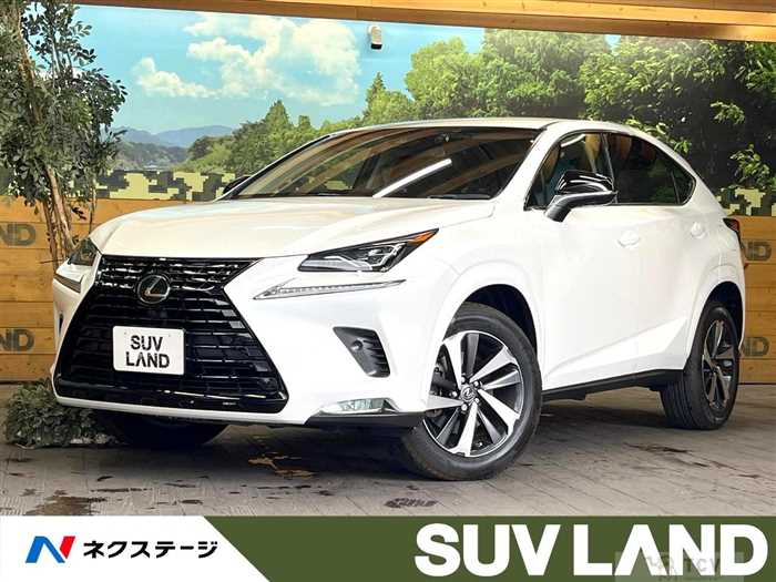 2018 Lexus NX