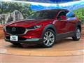 2021 Mazda Mazda Others