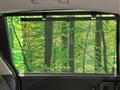 2026 Honda Freed