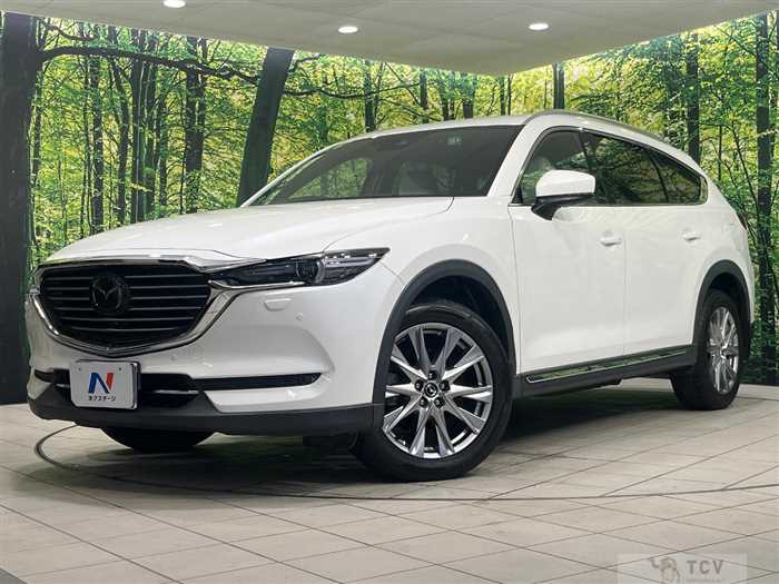 2017 Mazda CX-8