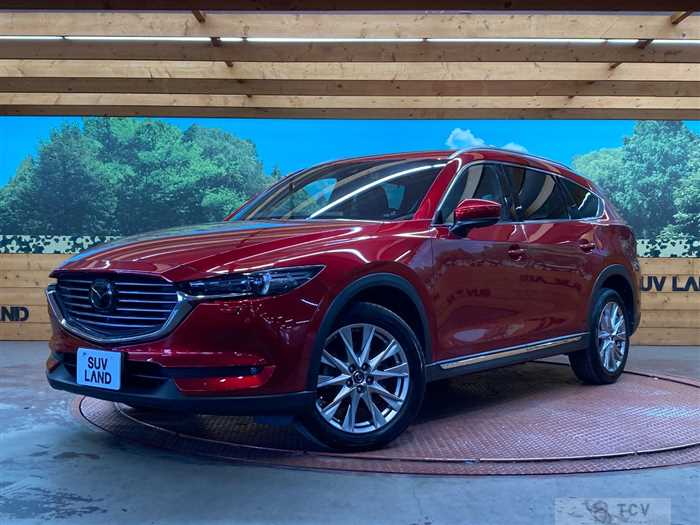 2018 Mazda CX-8