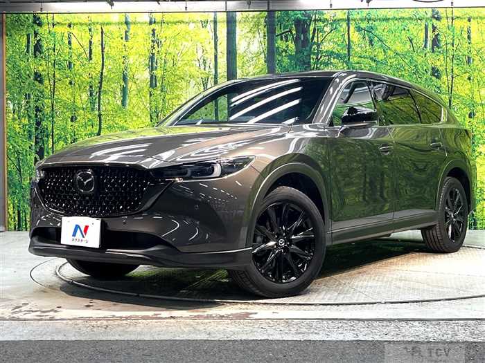2023 Mazda CX-8