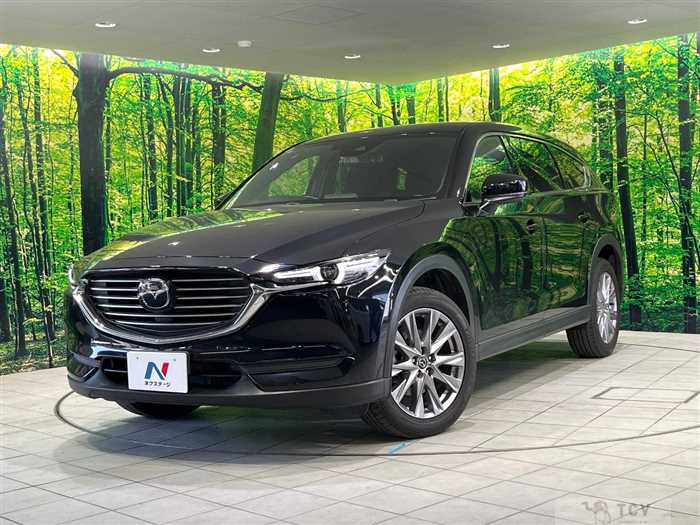 2019 Mazda CX-8