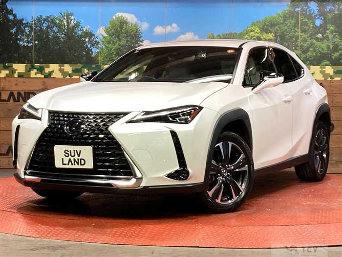2023 Lexus Other