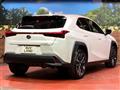 2023 Lexus Other