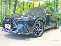 2023 Lexus NX