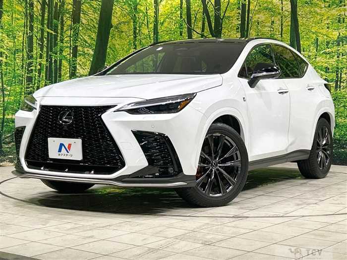 2023 Lexus NX