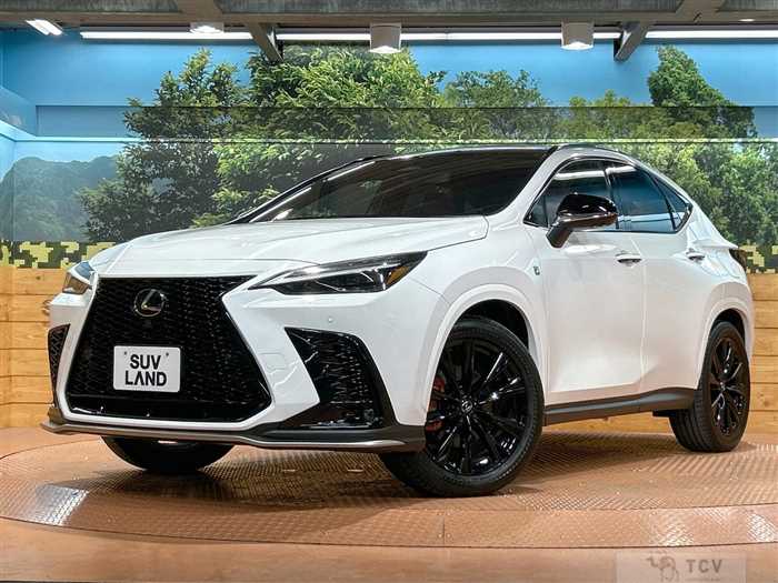 2023 Lexus NX