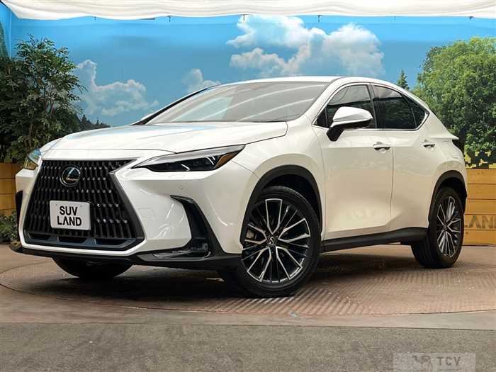 2023 Lexus NX