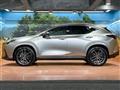 2024 Lexus NX