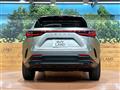 2024 Lexus NX