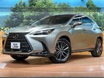 2024 Lexus NX