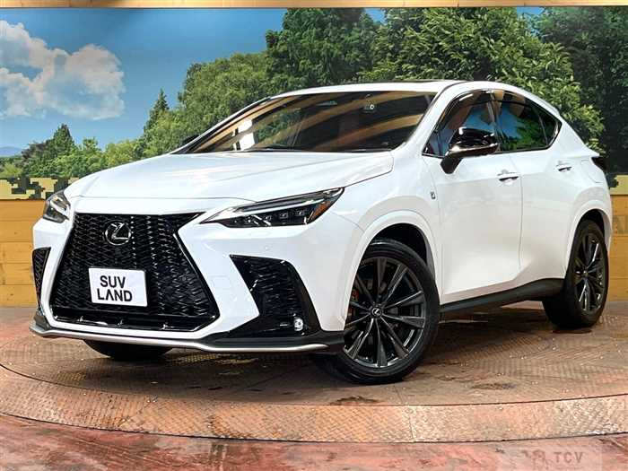 2023 Lexus NX