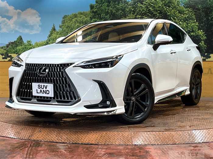 2023 Lexus NX