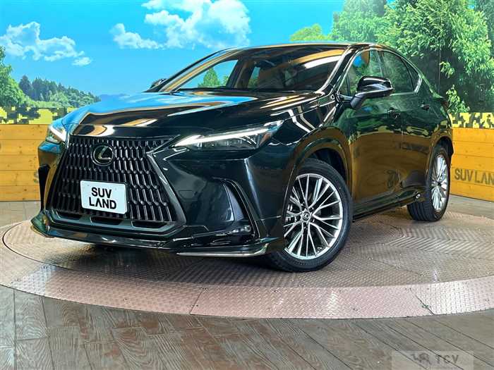 2021 Lexus NX