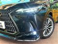 2021 Lexus NX