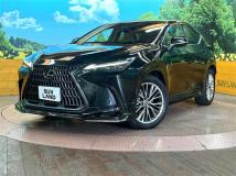 2021 Lexus NX