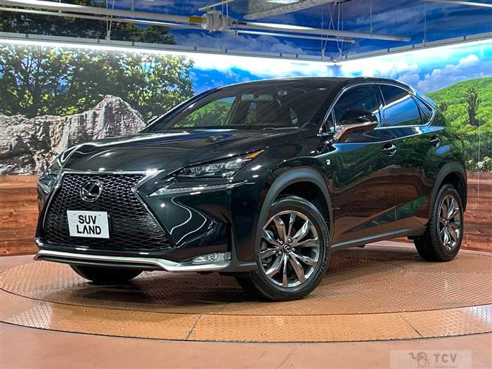 2017 Lexus NX